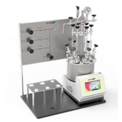 6位平行反應(yīng)釜 6位平行反應(yīng)釜